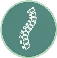 Wirbelsäulenchirurgie